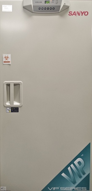 -80 °C Freezer